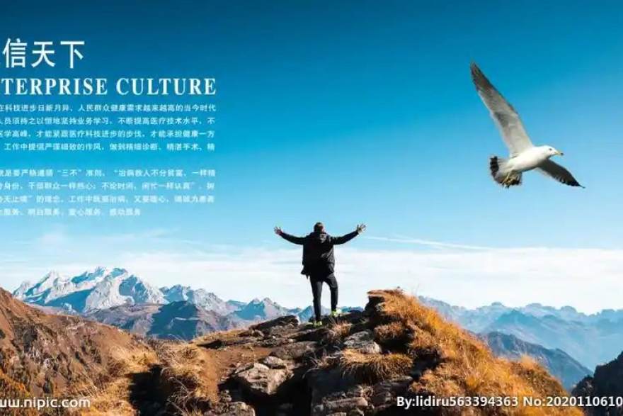 天下足球网多端观看与客户端下载展示图